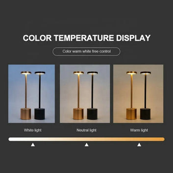 Rechargeable Decorative Table Lamp