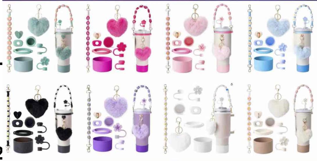 Stanley cup Accessories