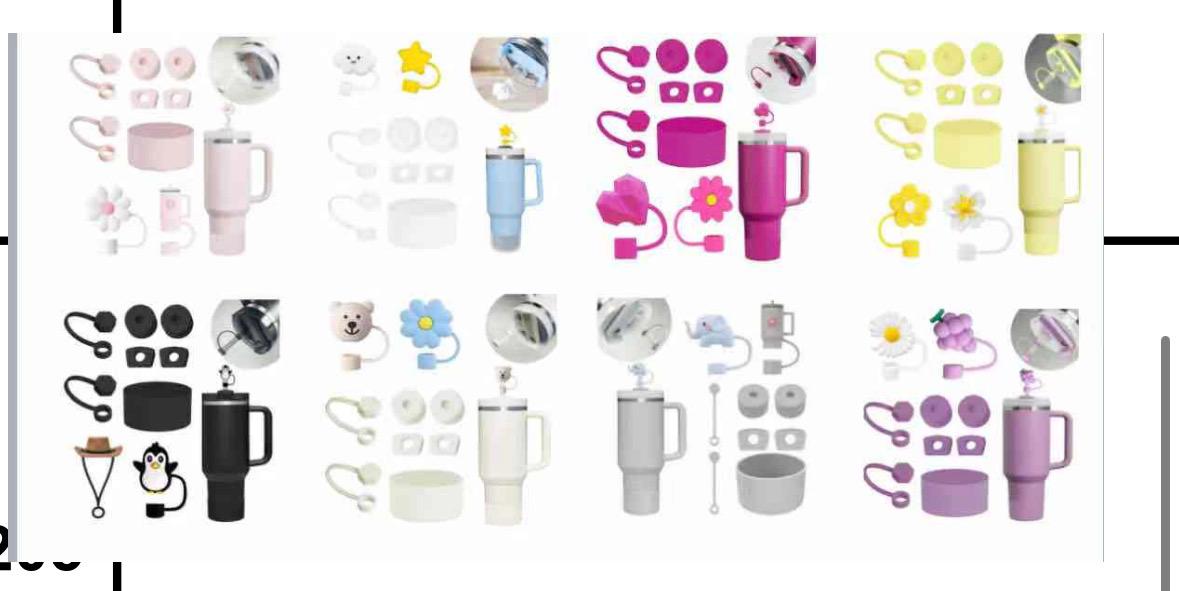 Stanley cup Accessories